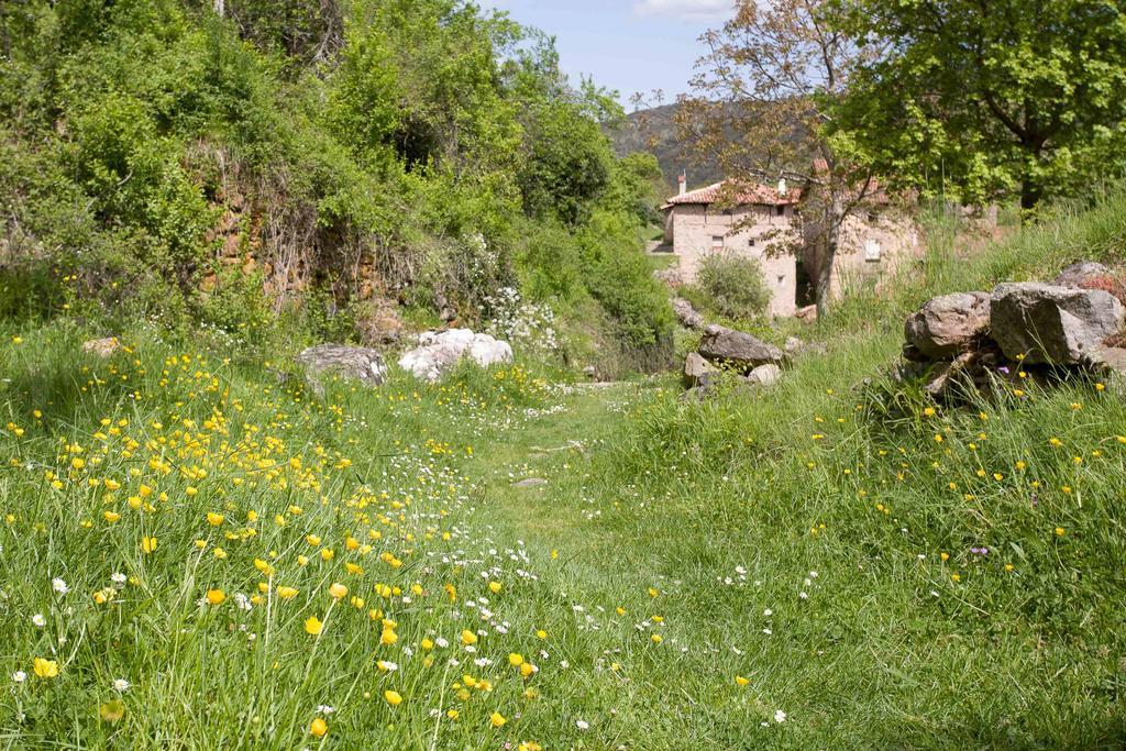 Aldeanueva de Cameros Posada De Urreci מראה חיצוני תמונה